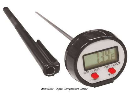 Digital Temperature Tester - 4.5in (11.5cm)_1164425