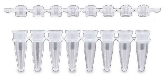 PCRmax PCR Tubes 0.2 mL 8-Tube Strips Thin Walled Virgin PP | John ...