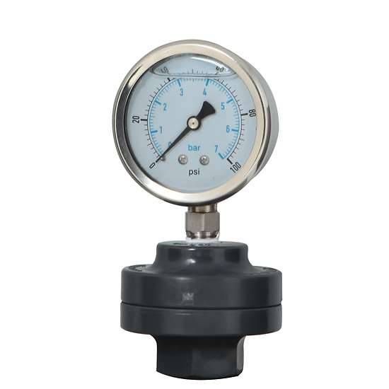 GAUGE W/ SEAL 1/4 60 PSI 2.5 Diap_1153938