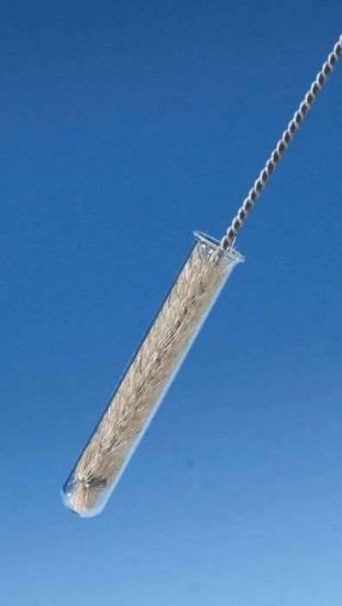Cole-Parmer, Nylon Radial Tube Brush, 10" Handle, 3"L x 1" Dia Brush; 12/Pk_1191353