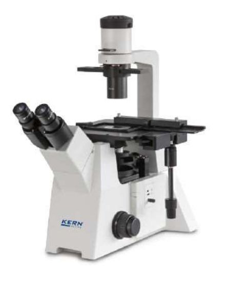 Compound microscope (Inverted) Binocular Inf Plan 10/20/40/20PH; HWF10x20; 30W Hal_1199114