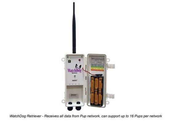 WatchDog Repeater Pup - 2.4GHz_1215834
