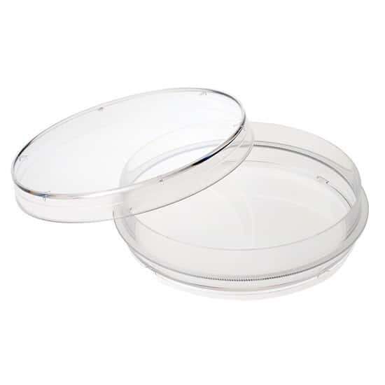 CELLTREAT Scientific Products 229623 Heavy-Duty Sterile Petri Dishes with Grip Ring, 100 x 15 mm; 300/cs_1209054