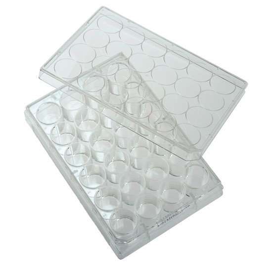 CELLTREAT Scientific Products 229123 24-Well Treated Cell Culture Plate with Lid; 50/cs_1209757