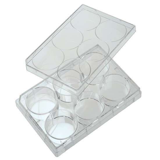 Cole-Parmer 6-Well Treated Cell Culture Plate with Lid; 100/cs_1200766