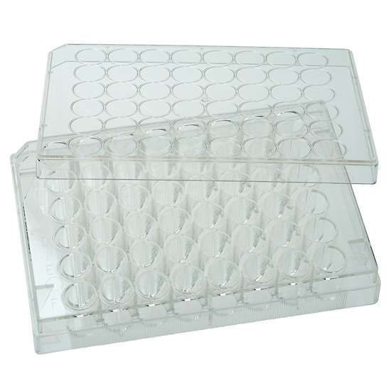 CELLTREAT Scientific Products 229548 48-Well Cell Culture Plate with Lid; 100/cs_1216358
