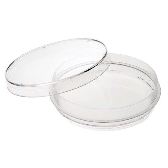 CELLTREAT Scientific Products 229620 Treated Sterile Petri Dishes with Grip Ring, 100 x 20 mm; 300/cs_1209991