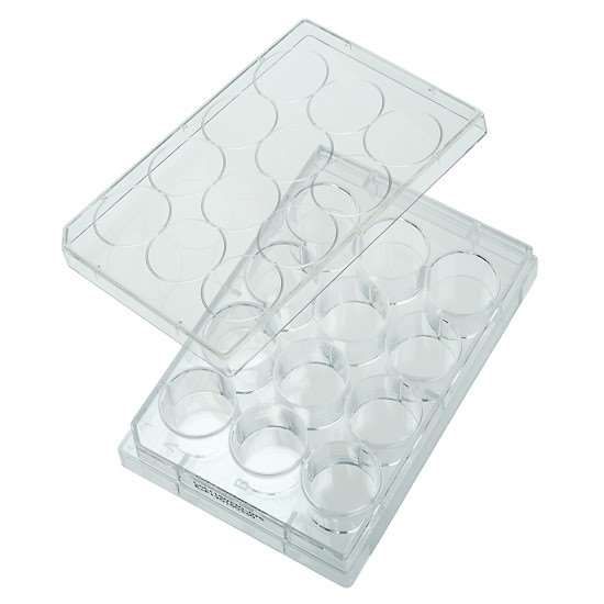 Cole-Parmer 12-Well Tissue Culture Plate with Lid; 100/cs_1203438