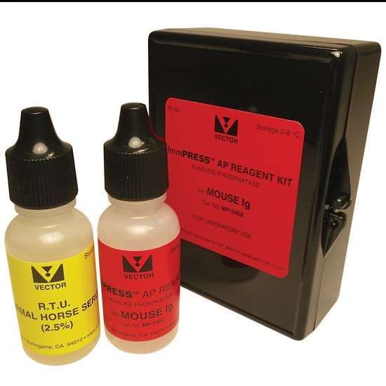 Vector Laboratories ImmPRESS AP Anti-Mouse IgG Reagent, made in horse, 50 ml_1217424