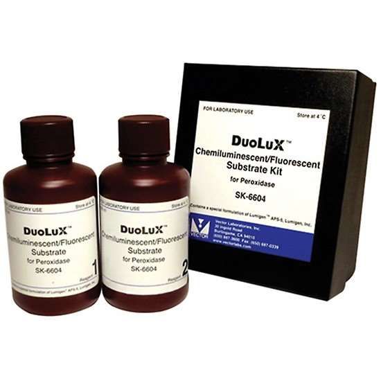 Vector Laboratories DuoLux Chemiluminescent/Fluorescent Substrate for Peroxidase, 200 ml_1214780