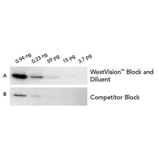 Vector Laboratories WestVision Block and Diluent for Western Blots, 500 ml_1229046