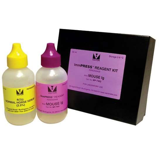 Vector Laboratories ImmPRESS HRP Anti-Mouse IgG Reagent, made in horse, 50 ml_1217122