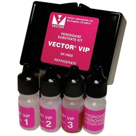 Cole-Parmer Vector Laboratories SK-4600 VIP Substrate Kit Purple 300 ml ...
