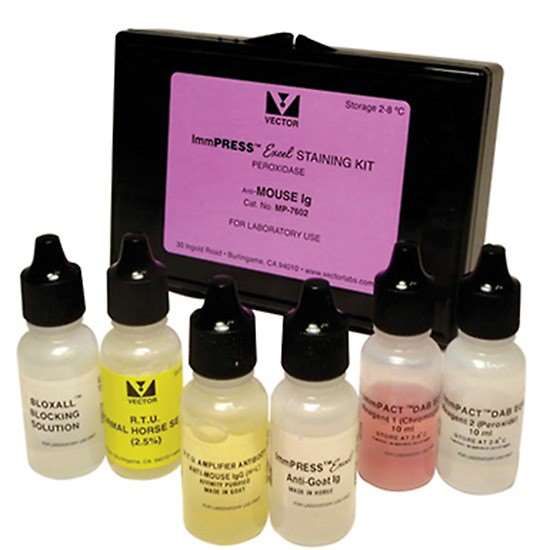 Vector Laboratories ImmPRESS Excel Staining Kit, Anti-Mouse IgG, 15 ml_1208600