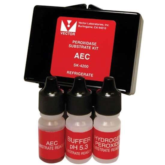 Vector Laboratories SK-4200 AEC Substrate Kit, Red, 300 ml_1217153