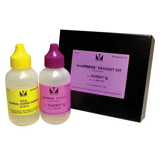Vector Laboratories ImmPRESS HRP Anti-Rabbit IgG Reagent,  made in horse, 15 ml_1217664