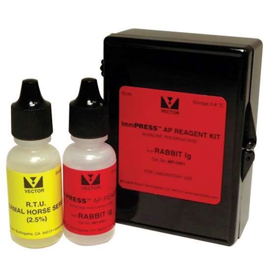 Vector Laboratories ImmPRESS AP Anti-Rabbit IgG Reagent, made in horse, 50 ml_1233473