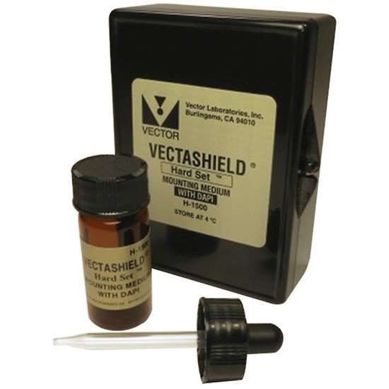 Vector Laboratories VECTASHIELD® Antifade Mounting Medium with PI, 10 ml_1227124