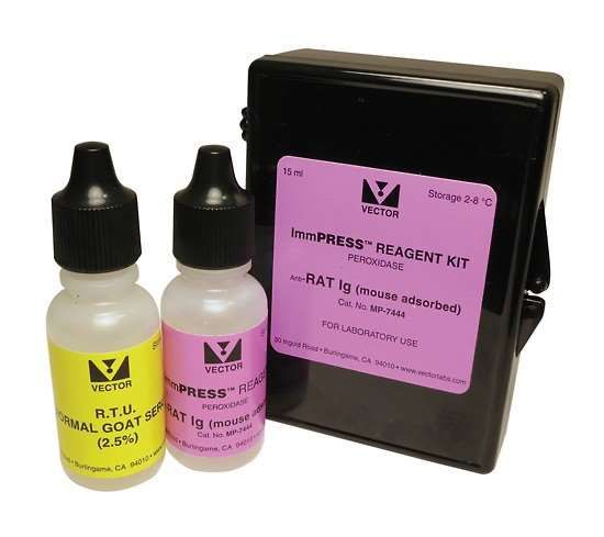 Vector Laboratories ImmPRESS HRP Anti-Rabbit IgG Reagent, made in goat, 50 ml_1229023