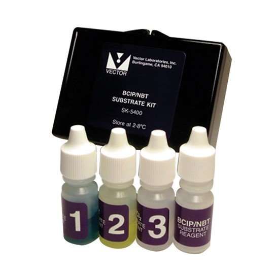 Cole-Parmer Vector Laboratories SK-5400 BCIP/NBT Substrate Kit Indigo ...
