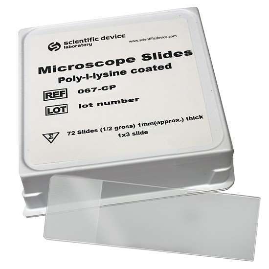 Masterflex Adhesive Coated Microscope Slide, Poly-l-lysine; 144/PK_1484061