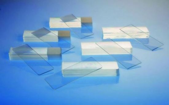 Epredia Netherlands BV Microscope Slides 76 x 26 mm Extra White, Ground ...