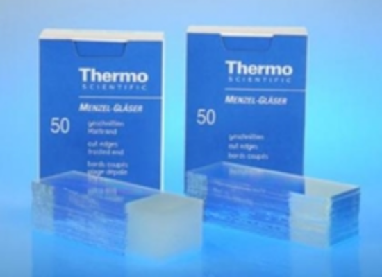 Epredia Netherlands BV Microscope Slides, 76 x 26 mm Extra White, Cut ...