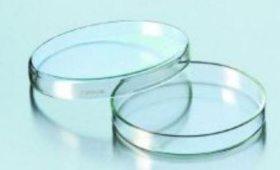 Petri dishes 15x60mm soda lime glass Steriplan®_1498762