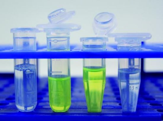 LLG Labware Microtubes 2.0 ml Non-Sterile, Clear, With Lid, PP, DNase ...