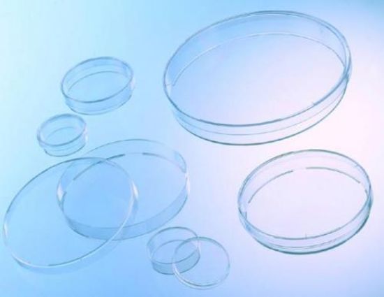 Petri dishes 95x20 mm PS, non-sterile, with vents, pack of 360_1503467