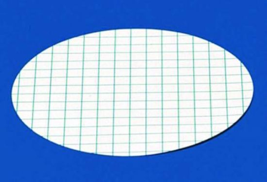 Membrane filters,cellulose nitrate,sterile white with gren grid,pore 0.45 μm,diam. 47 mm pack of 100     (no dan. goods)_1522284