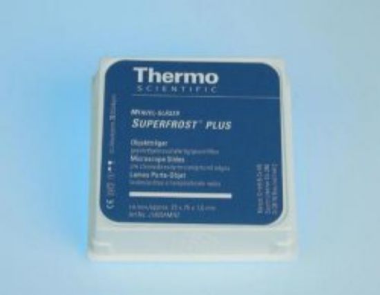 Superfrost-OT Plus microscope slides, 25x75 mm ground edges 90°, white pack of 72_1525005