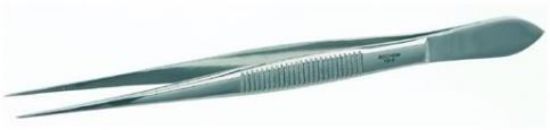BOCHEM Instrumente Forceps, 200 mm, 18/10 Steel, Sharp/Straight ...