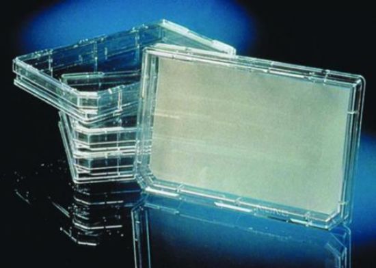 OmniTray,PS,sterile,cap. 35 ml,pack of 60_1528678