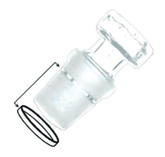 Sealing rings for jointed glassware PTFE, NS 24, pack of 50_1553384