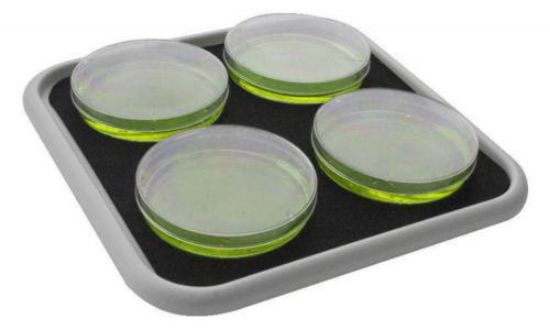 Flat platform with non-slip mat_1554284