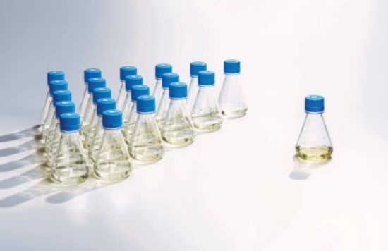 Disposable Erlenmeyer Flasks with screw closure, flat bottom, PETG, sterile, 500 ml, pack of 12_1555680
