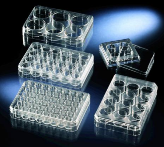 Multiplates 24 Well, Nunclon, PS, untreated, flat, with cover, sterile, pack of 75_1564824