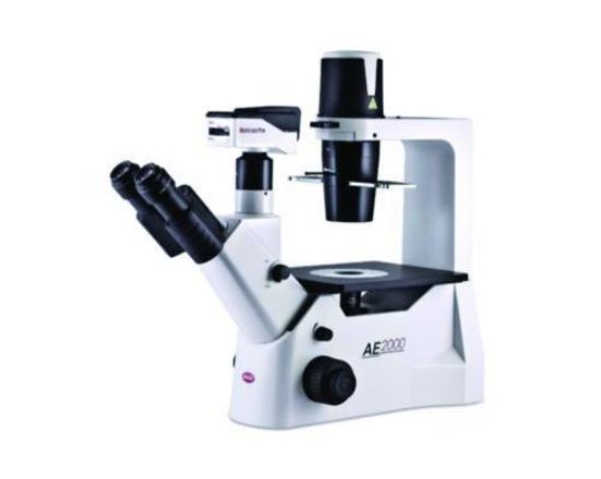 Inverse Routine Microscope AE2000 Trinocular, N-WF 10X/22mm_1628508