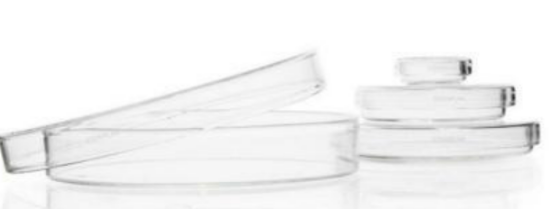 Steriplan petri dish 15 x 90 mm, soda lime glass_1578140