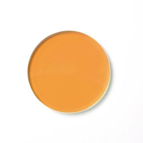 Insert filter halogen for KL 1500 LCD / 1500 Plus / KL 1600 LED / 2500 LED_1600115