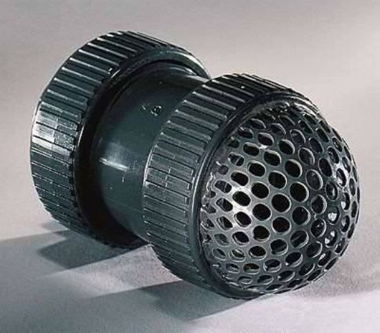 Masterflex PVC Foot Valve Screen 1/2