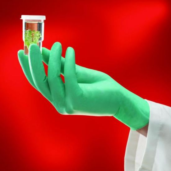 Microflex® NeoTouch®, size S (6½-7) disposable gloves, Neoprene, powder-free, light green, 290 mm, pack of 100_1813266