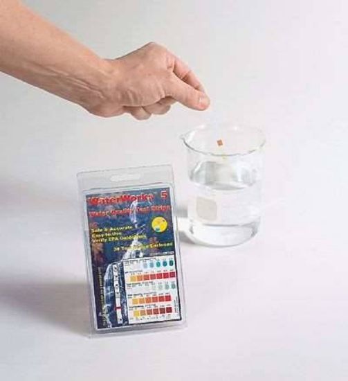 TEST STRIP PH 50/BTL_1189292