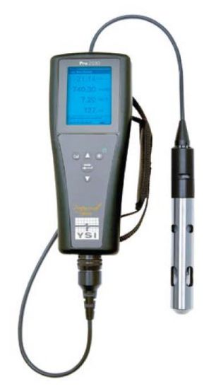 Pro2030 - Dissolved Oxygen/Conductivity/Salinity Temperature Handheld_1904886