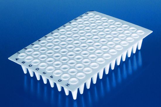 PCR-plates 96-well w/o frame, standard Profile, white, blue coding, pack of 50_1565731