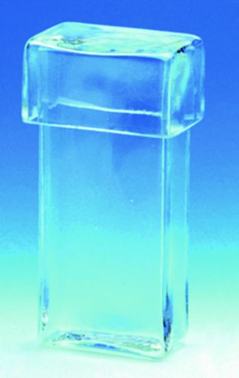 Glaswarenfabrik Karl Hecht Staining Cylinder, Rectangular 40x20x85 mm ...