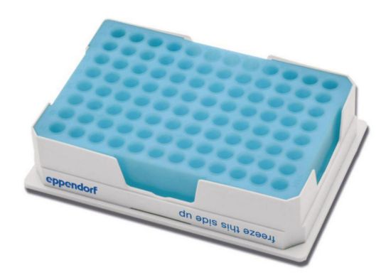 PCR cooler, blue for 0,2ml_1517606