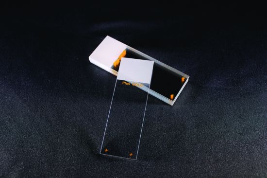 Superfrost-OT Plus gold, 25 x 75 mm, grinded 90°, white, pack of 72_1625568