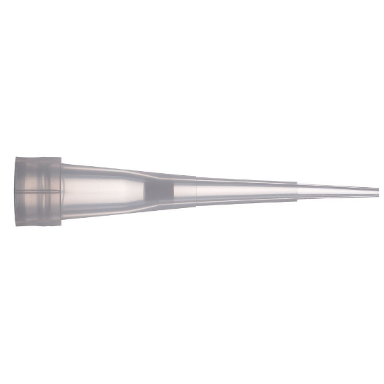 Diamond, Blister DFL10, 960 Pipette tips